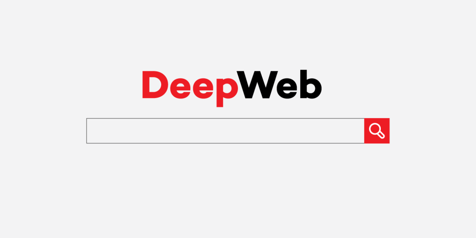 Deep Web Searcher