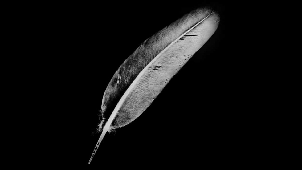 Aesthetics Pastel Goth