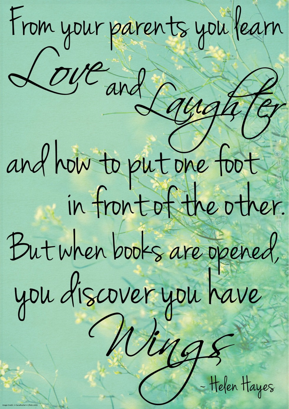 Burka Sivka in English