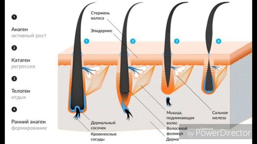 Composition third grade