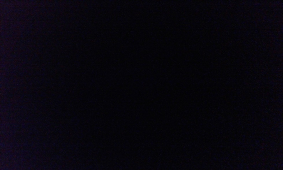 Charlotte Springer Domensh