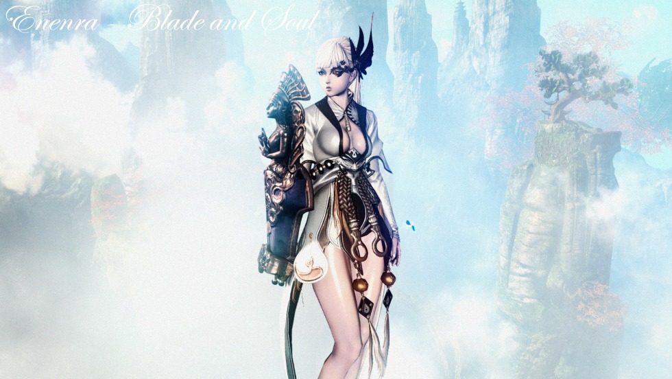 Blade and Soul master of paired blades