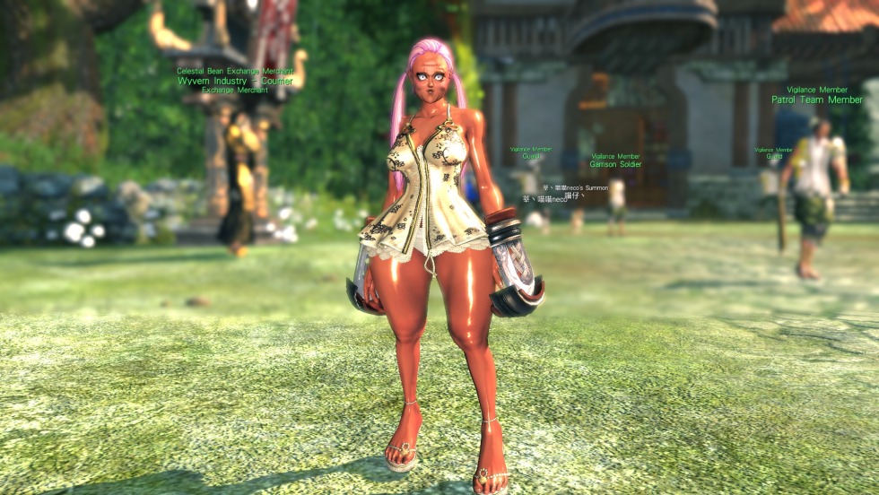 BNS editor of the character