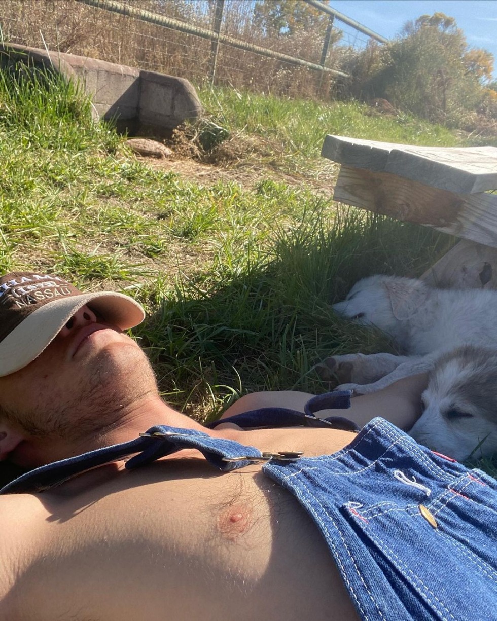 Jace Norman pornography