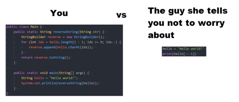 Java and Python programming languages