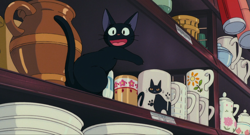 Hitagi Senshegahara in underwear