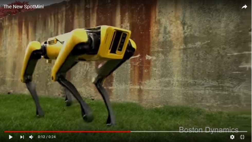 Boston Dainemix Atlas Strength