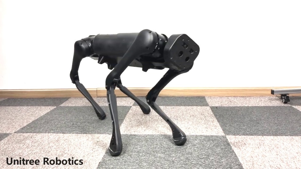 American company Boston Dynamics