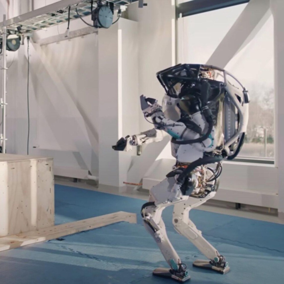 Robopes Boston Dainemix photo