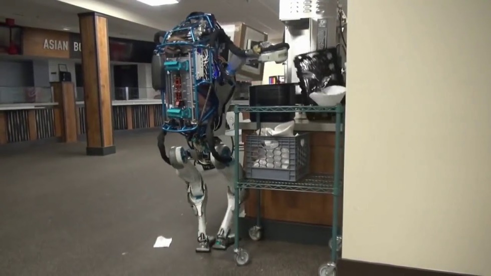 Boston Dainemix Robot and man