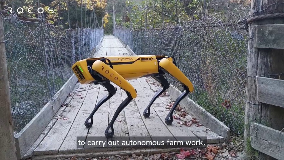 Robot dog military Russia