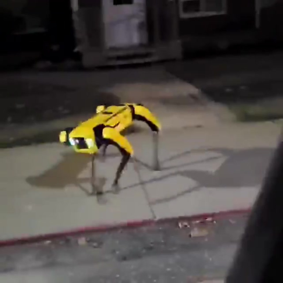 Robo Dog in real life