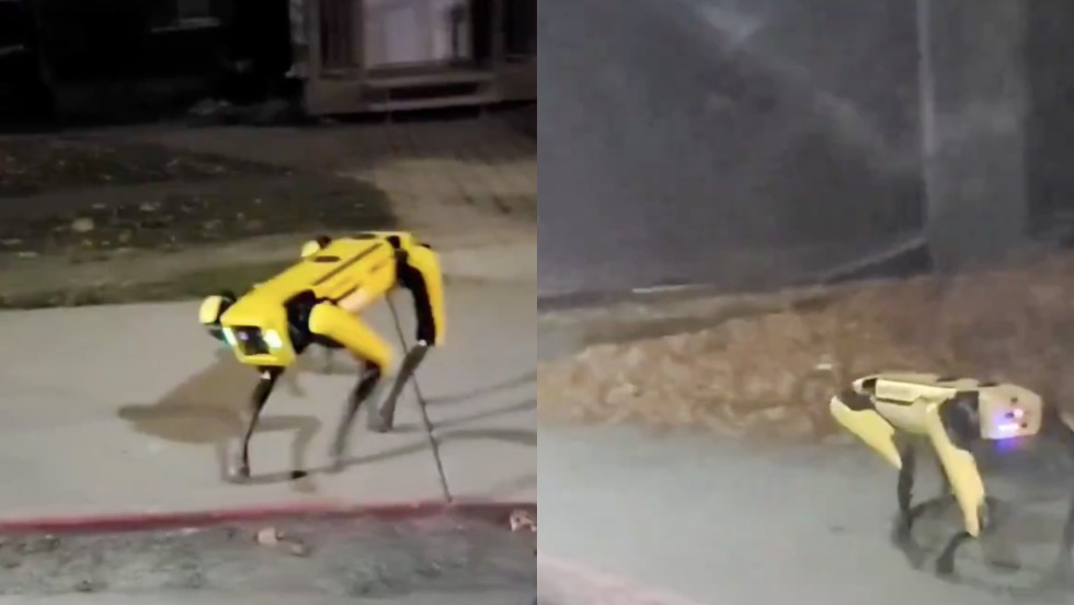 Robosobaka Boston Dynamics