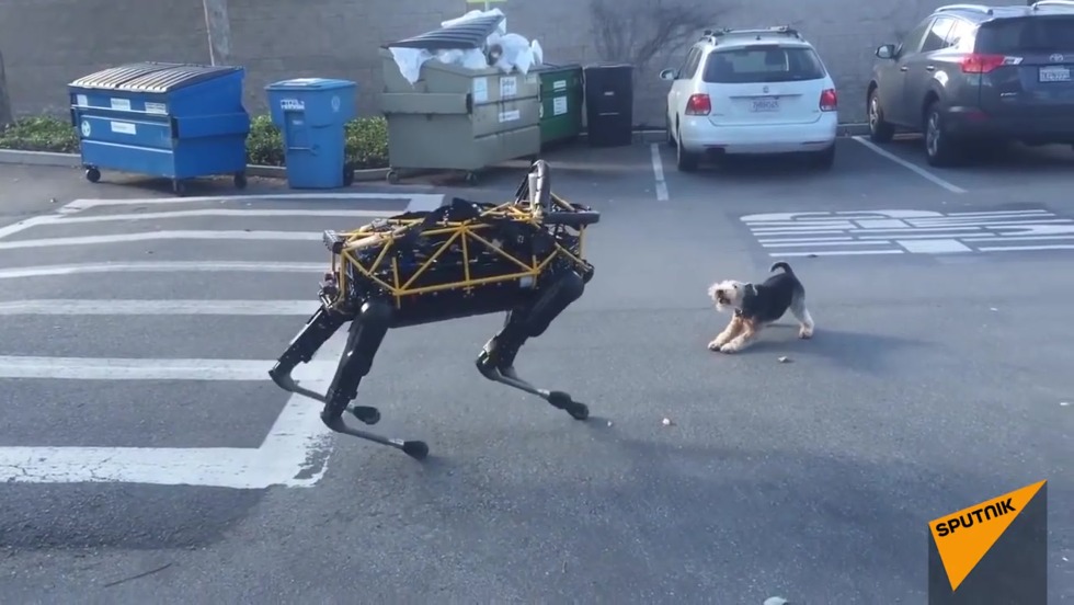 Boston dynamics robots dance