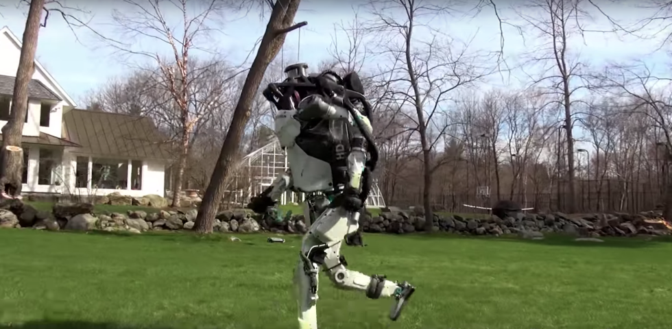 Boston Dainemix robot dog