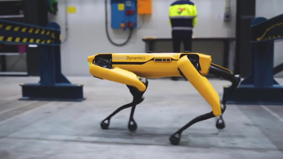 Boston Dainemix Robot with capture