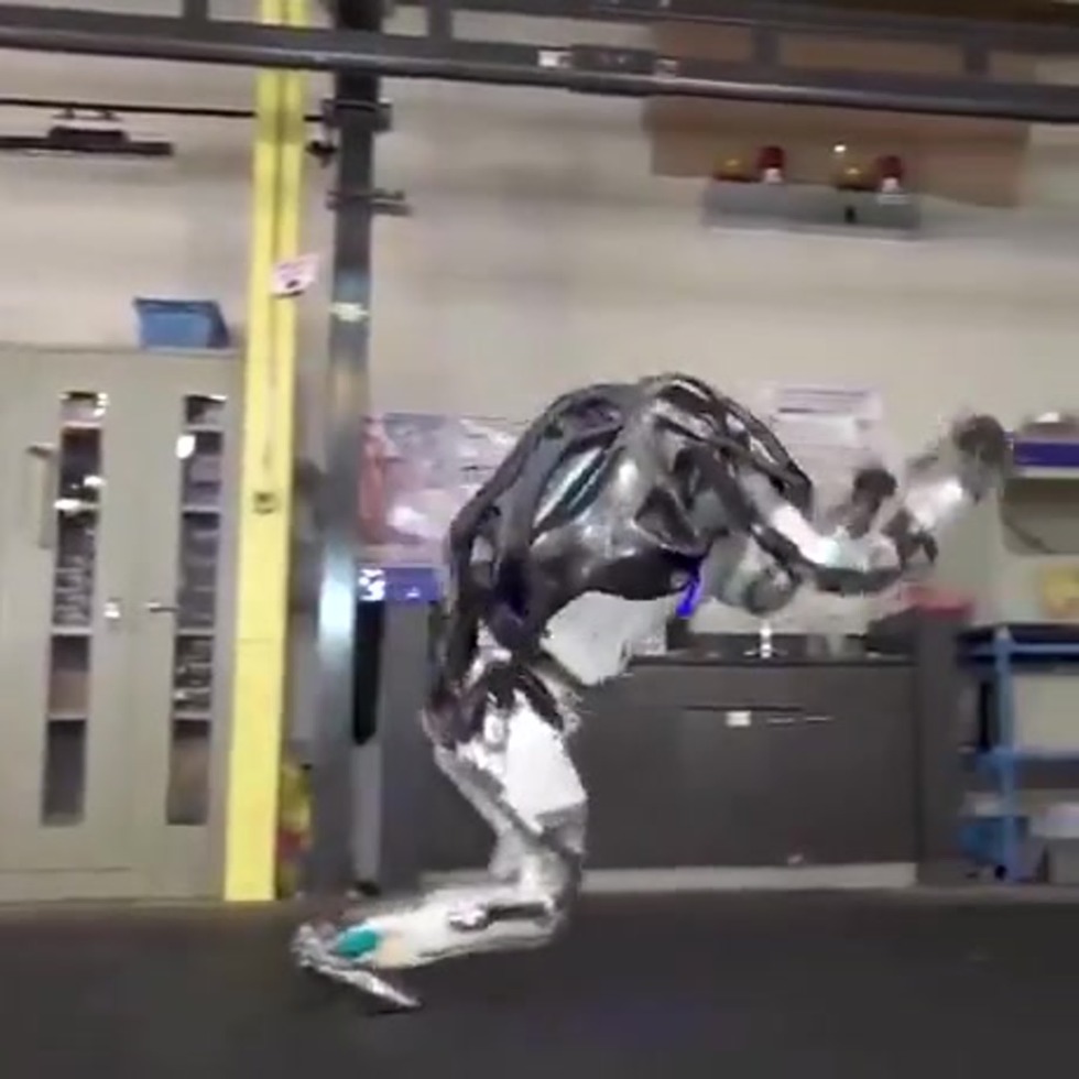 Boston dynamix robots