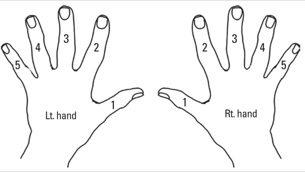 Genshin impact memes
