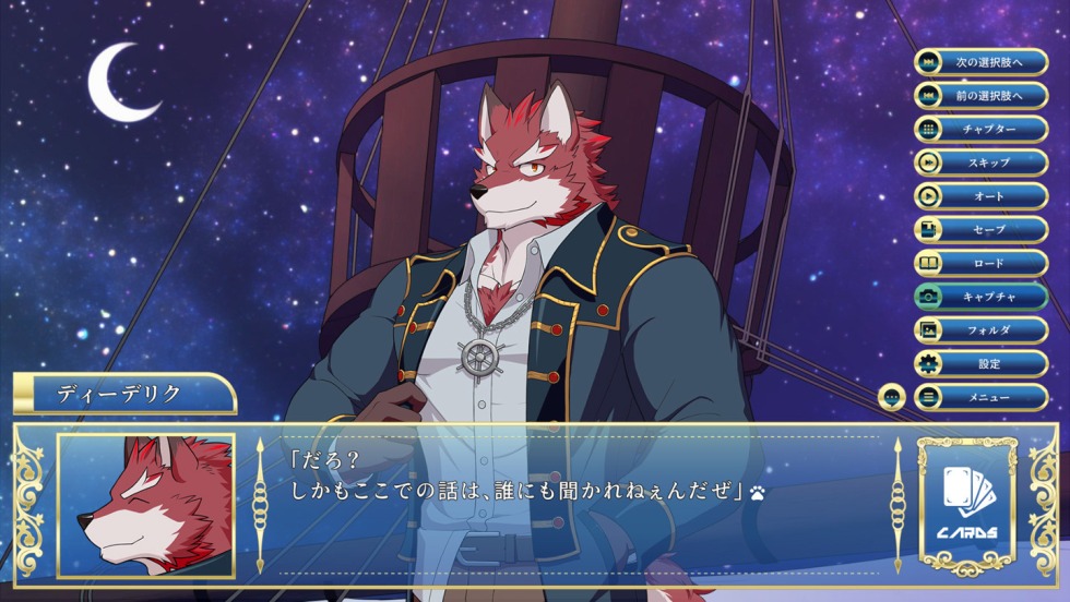 Knights College Novel