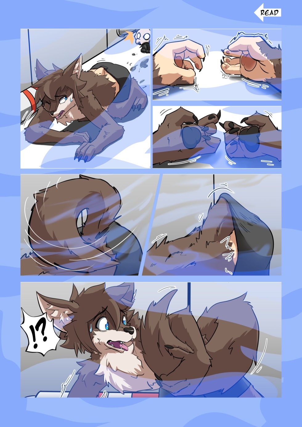 Hoffman Genshin Impact Knight