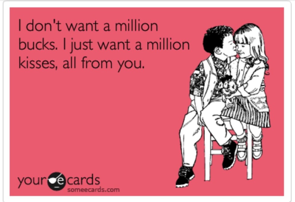 The resume of the programmer