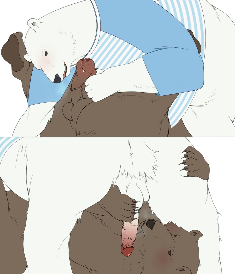 Sex Polar Bear Furry Gay
