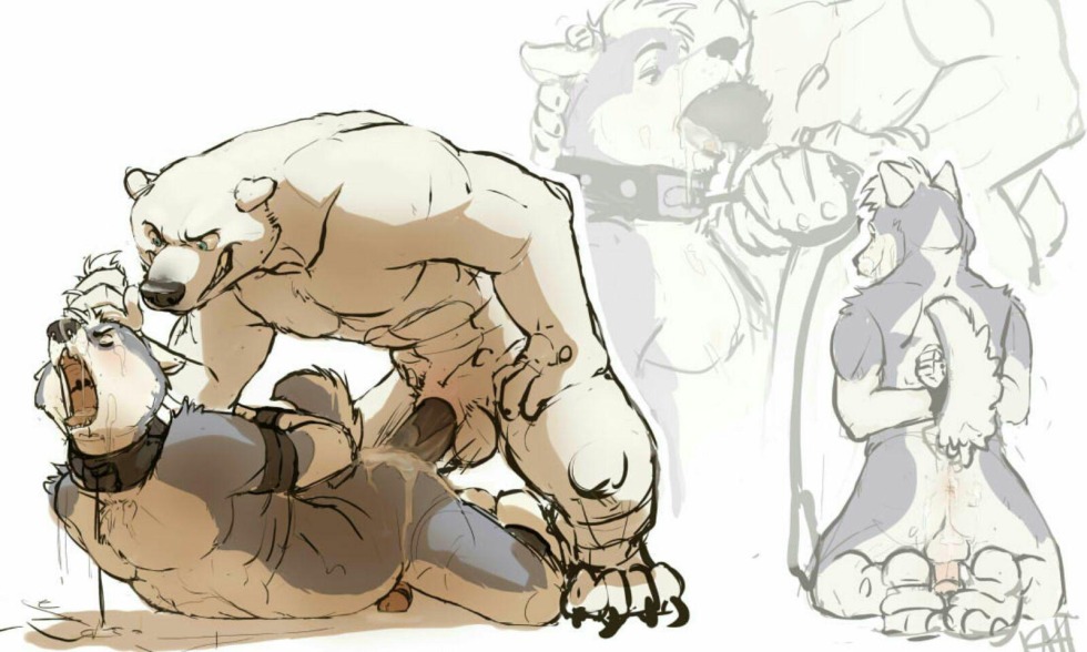Sex Polar Bear Furry Gay