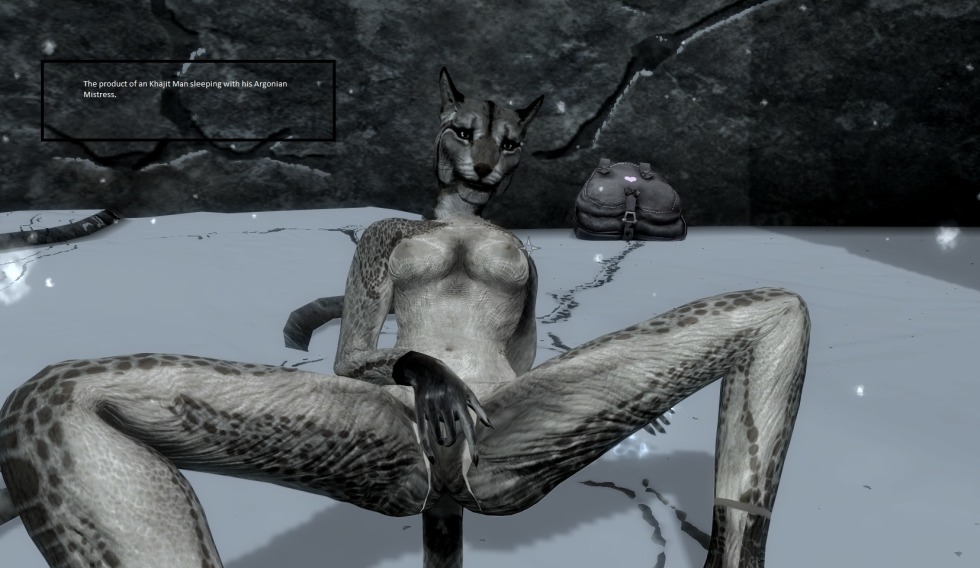 The Elder Scrolls Hentai Kajit
