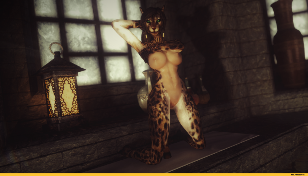 Kajit+porn 3d Skyrim