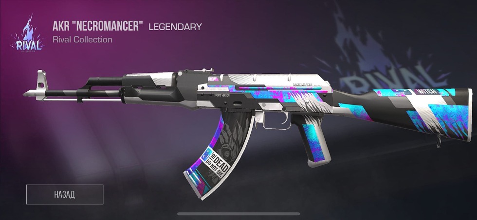 ThraSher skateboarding