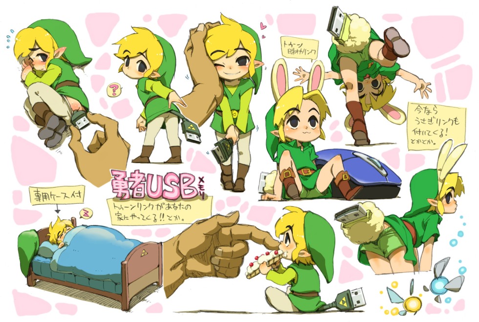 TOON Link Wind Waker