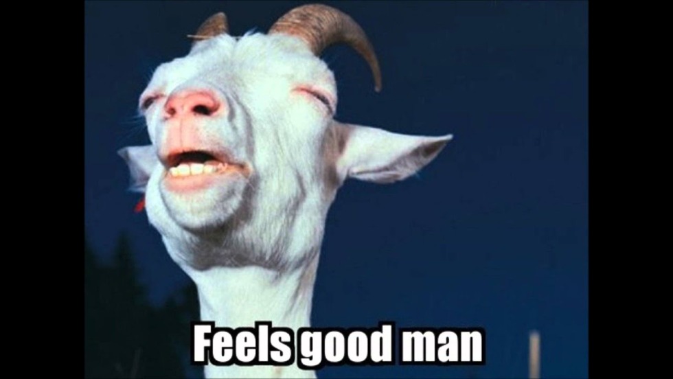 Koshcha is a crazy goat