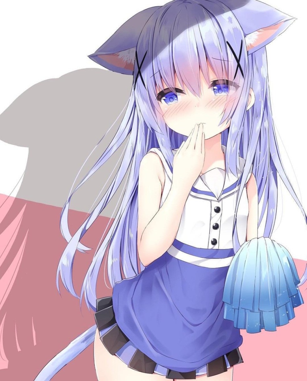 Kafuu Chino is not