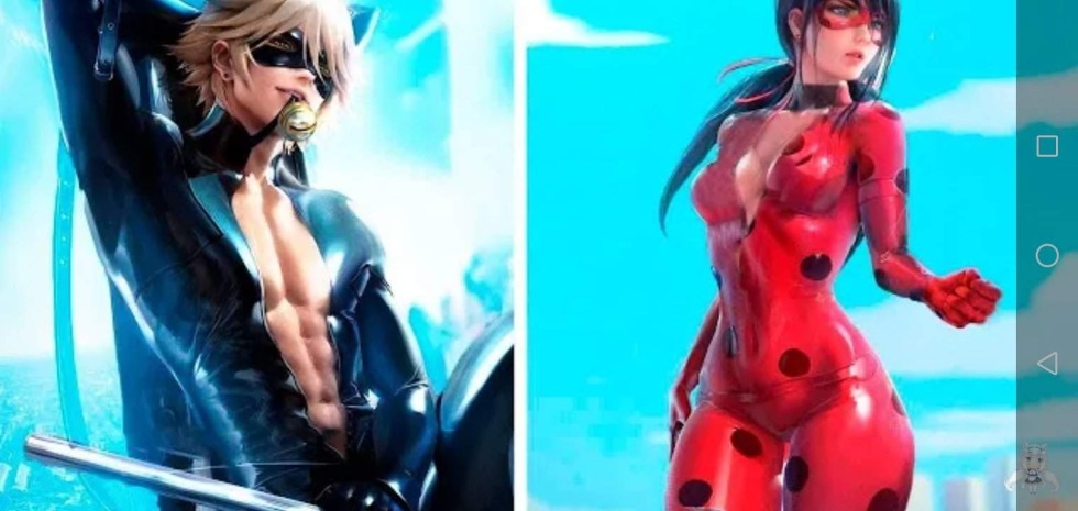 Matured lady bug and super cat