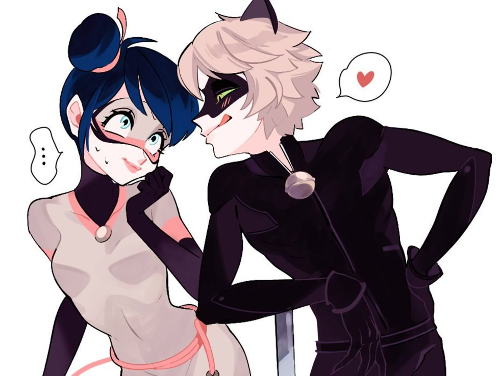 Multimaus and cat noir love