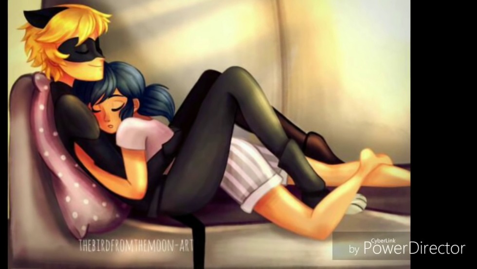 Lady Bug and Super Cat Marinet 18