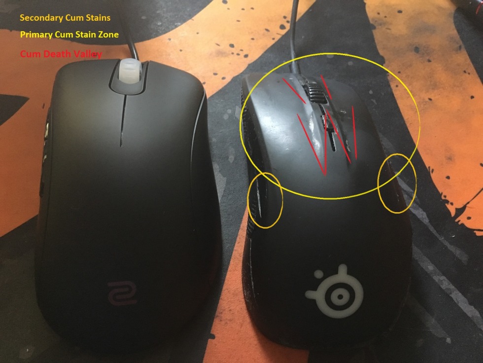 Cat in sour cream meme