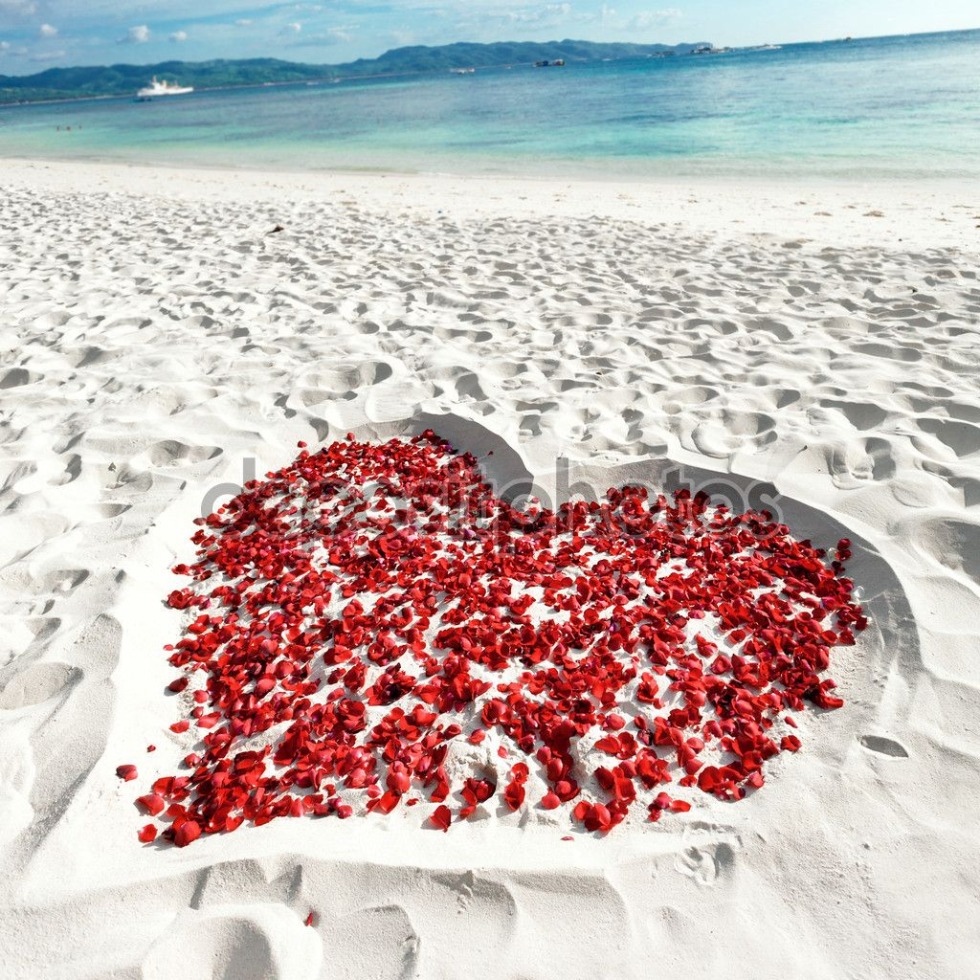 Rose petals heart