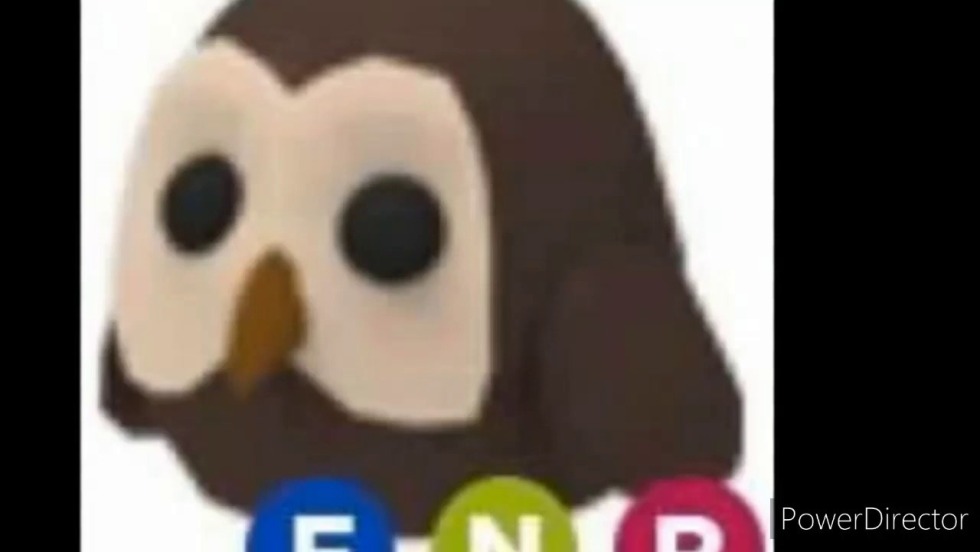 Petis from the Roblox Adopt Me