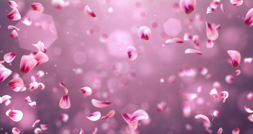 Flower petals