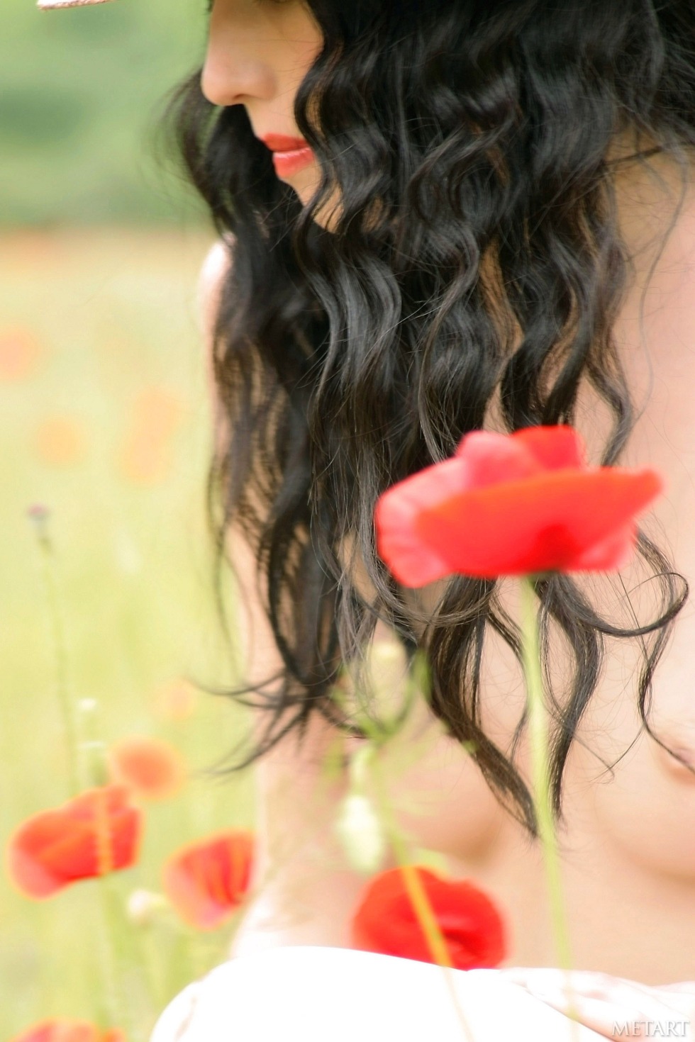 Anna Poppy Privatok drain