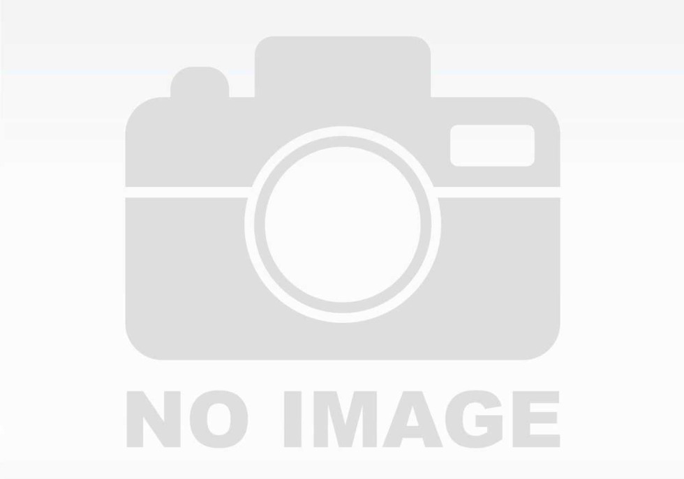 PV charge controller LS1024RP