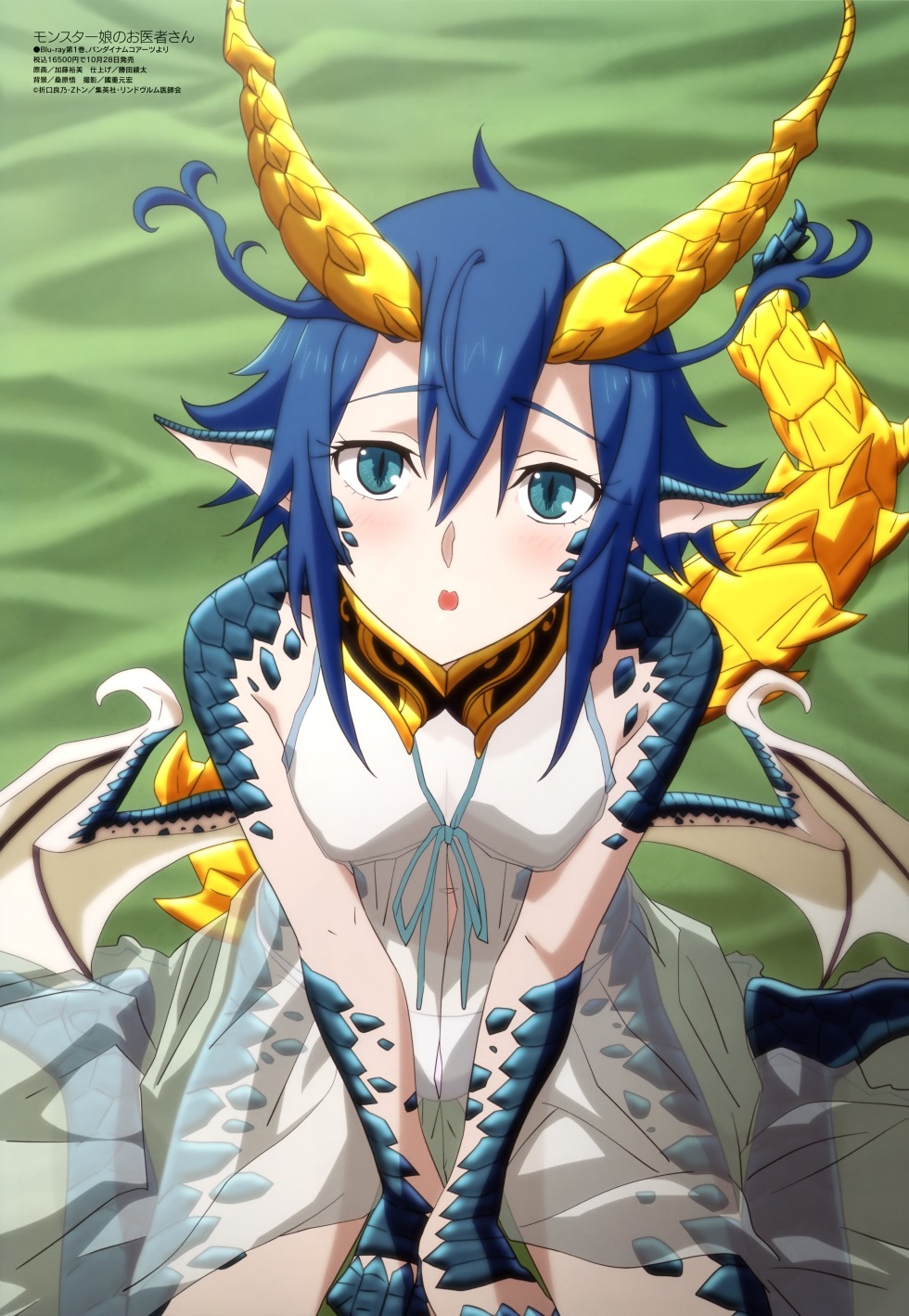 Monster Musume Anime Dr. Dragenfelt