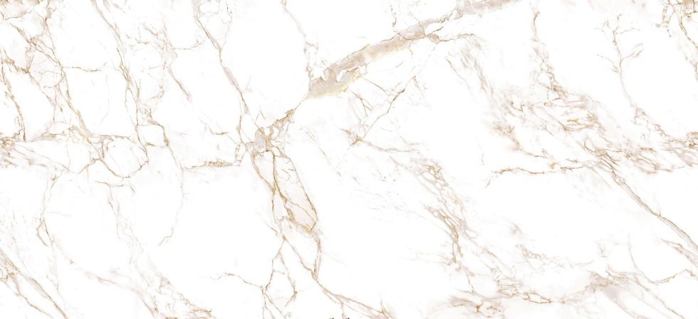 Marvel Calacatta Extra 60x60 porcelain