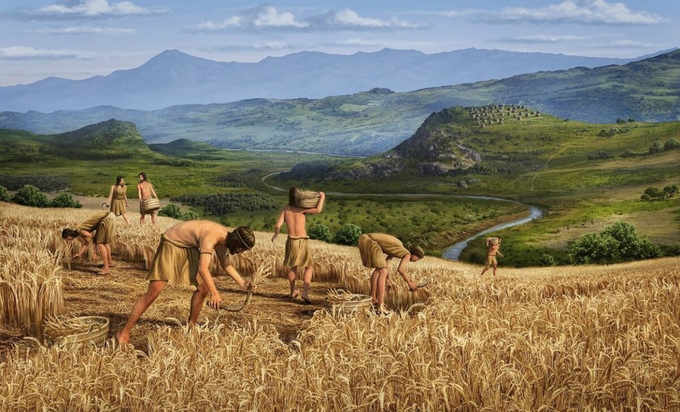 Neolithic revolution agriculture