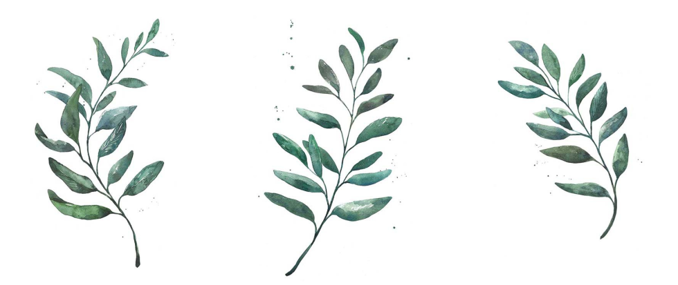 Lan Zhang and Jiang Cheng