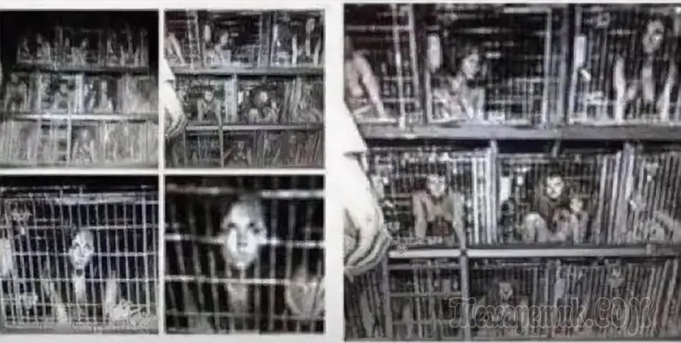 Stephen Hillenberg Squidward on the grave