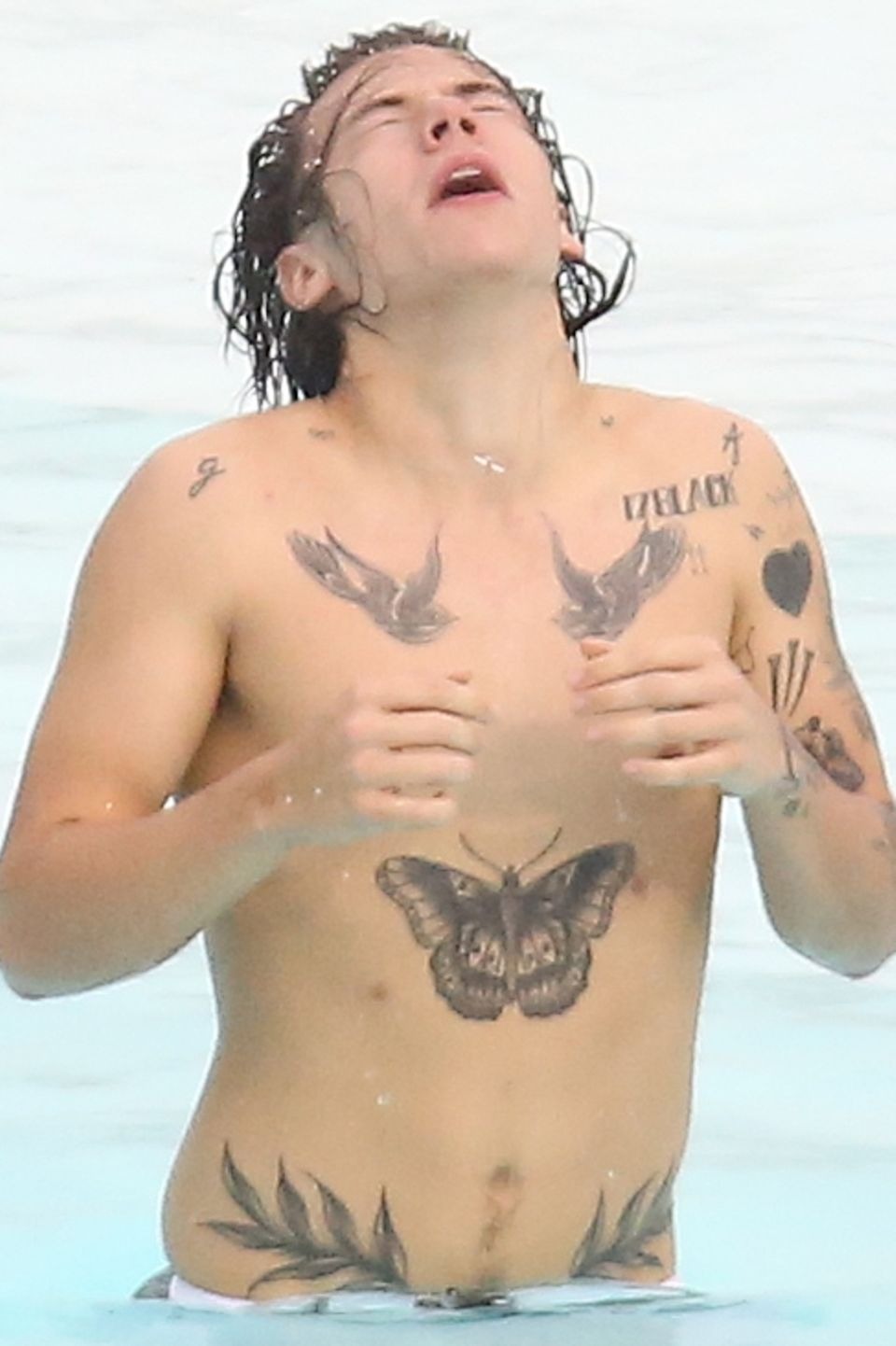 Harry Styles Naked armpits