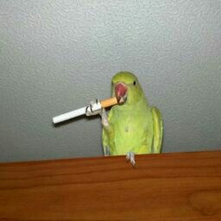 Jesus Gethseman Garden of Passion of Christ