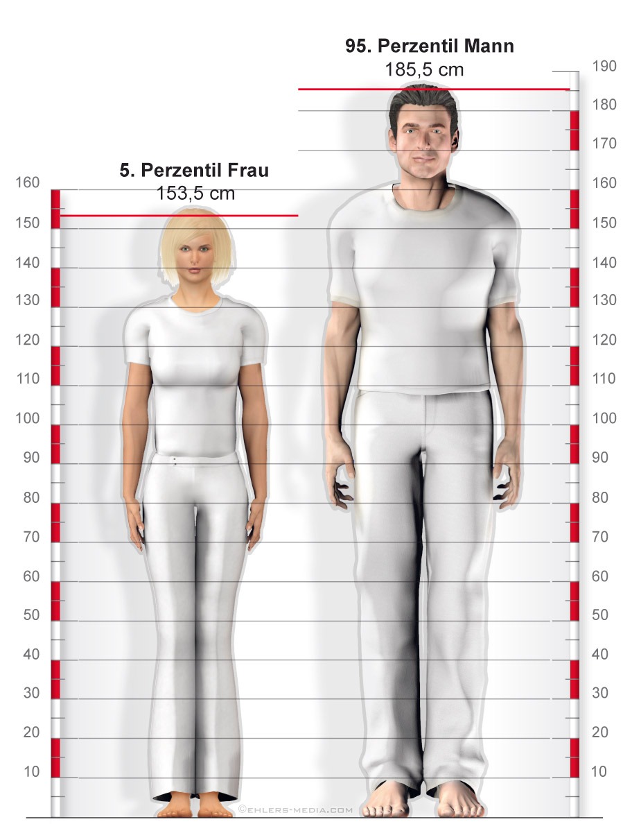 Male and female silhouette in lines